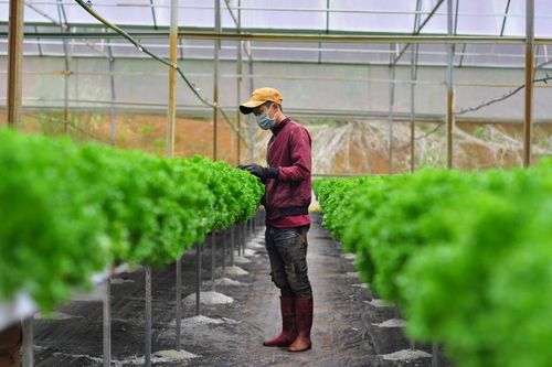 Để doanh nghiệp ''vững tay chèo'' trong đại dịch