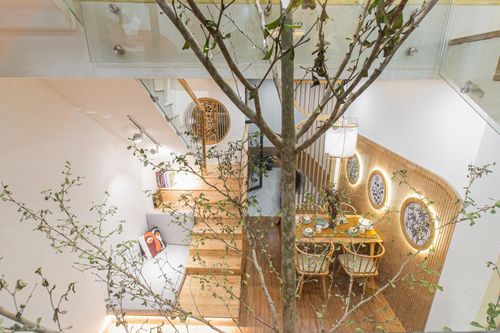 Sửa chữa ngôi nhà 100 m2 thành không gian sống hiện đại