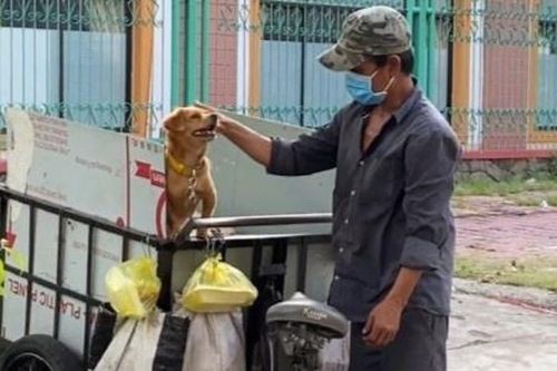 Người nhặt ve chai ở TP.HCM chia phần cơm từ thiện với cún cưng