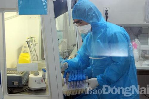 Đồng Nai: Kiến nghị hỗ trợ 3.100 tấn gạo; huy động phương tiện chở người bệnh, người đi cách ly