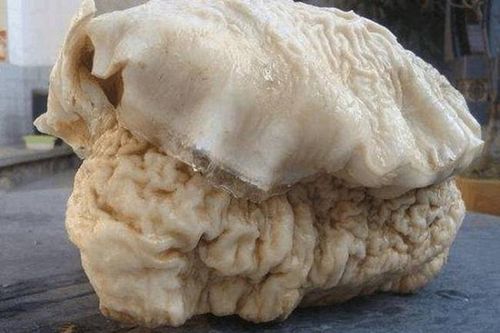 Vô tình nhặt vật lạ, vớ bẫm 'thần dược' Tần Thủy Hoàng ráo riết săn