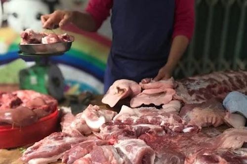 Giá lợn hơi tiếp tục giảm sâu, chạm 'đáy' 2 năm
