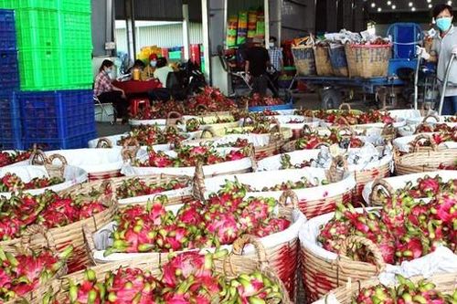 Đừng 'trăm dâu mà đổ đầu tằm', chuyện gì cũng nói thương lái ép giá