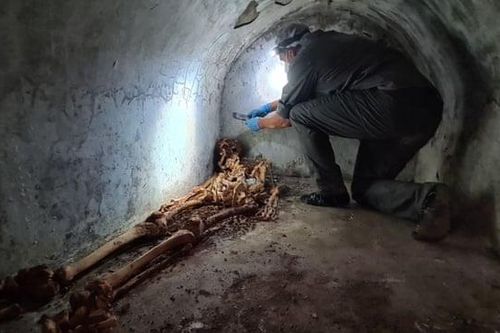 Phát hiện bộ hài cốt làm sáng tỏ nền văn hóa Pompeii cổ đại