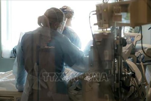 Mỹ thêm 1.017 ca tử vong do COVID-19 trong ngày 17/8