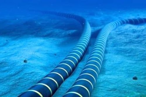 Google, Facebook toan tính gì khi bắt tay làm cáp ngầm Internet?
