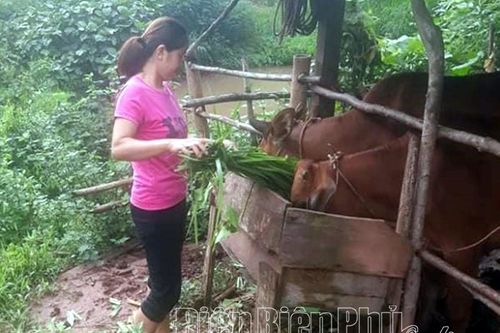 Hiệu quả chương trình 'Đồng hành cùng phụ nữ biên cương'