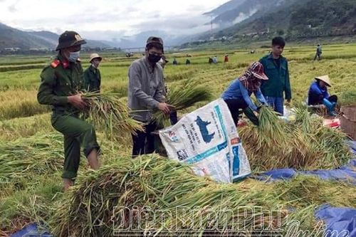 Bảo đảm an ninh để phát triển kinh tế - xã hội