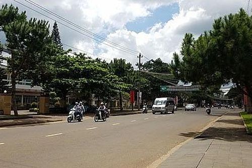 Kông Chro: Đề nghị xử lý xe 'luồng xanh' vi phạm