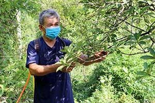 Bình Gia: Ứng dụng kỹ thuật để khôi phục và phát triển cây hôìTin khácKết nối các nguồn lực chuẩn bị cơ sở vật chất cho năm học mơíDanh sách cá nhân dự kiến đề nghị xét tặng danh hiệu 'Công dân Lạng Sơn ưu tú' lần thứ nhất, năm 2021