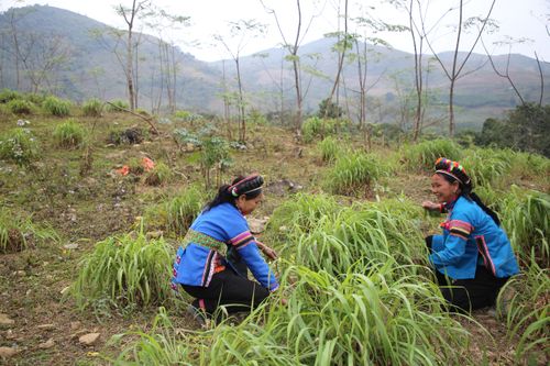 Hoàn thiện DDCI Lào Cai vì sự phát triển của doanh nghiệp, doanh nhân nữ