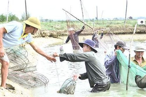 Vĩnh Linh nâng cao hiệu quả các hoạt động hỗ trợ nông dân
