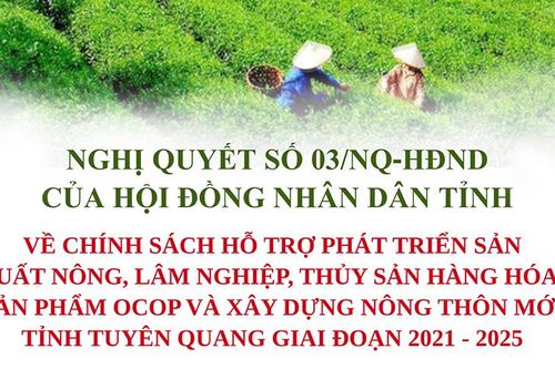 Nghị quyết 03/2021/NQ-HĐND của HĐND tỉnh về chính sách hỗ trợ phát triển sản xuất nông, lâm nghiệp, thủy sản hàng hóa; sản phẩm OCOP và xây dựng nông thôn mới trên địa bàn tỉnh Tuyên Quang giai đoạn 2021 – 2025Đề án số 02 của Ban Thường vụ Tỉnh ủy về tiếp