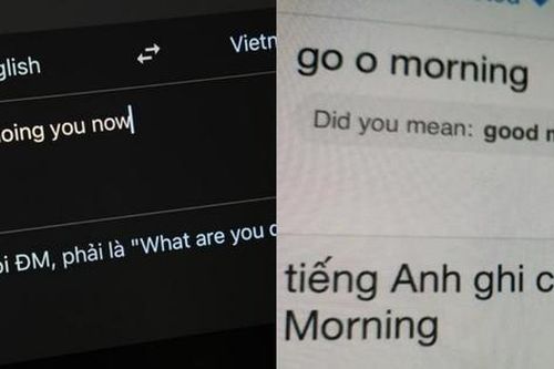 'Dở khóc dở cười' khi Google dịch trở nên... cục súc, hóa ra là do người dùng thích đùa!