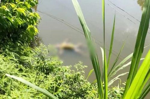 Vĩnh Phúc: Phát hiện thi thể bé trai dưới ao nước