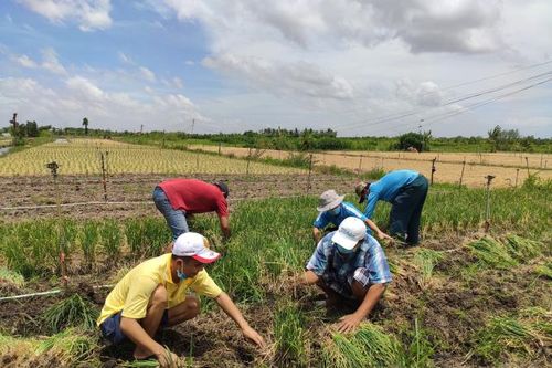 Chàng trai miền Tây lái xe cứu thương miễn phí, chở rau củ hỗ trợ bà con nghèo