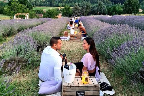 Đến Italy, ăn tối lãng mạn giữa ngút ngàn oải hương