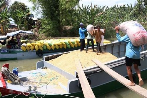 Gỡ khó cho 'luồng xanh' vận tại thủy: Cần sự phối hợp đồng bộ
