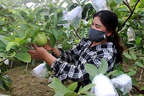 Tiêu thụ sản phẩm của các hợp tác xã nông nghiệp: Khó trong khâu kết nối hộ thành viênTin khácCách mạng Tháng Tám thành công - đánh dấu thắng lợi đầu tiên cho con đường Hồ Chí Minh lựa chọnKết nối các nguồn lực chuẩn bị cơ sở vật chất cho năm học mới