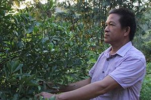 Ông Trịnh làm kinh tế giỏiTin khácCách mạng Tháng Tám thành công - đánh dấu thắng lợi đầu tiên cho con đường Hồ Chí Minh lựa chọnKết nối các nguồn lực chuẩn bị cơ sở vật chất cho năm học mới