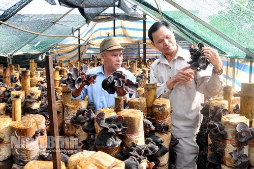 Kỳ 3: Những con số ấn tượng