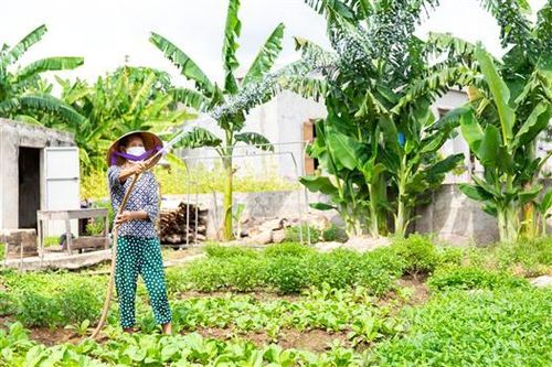 Ước mơ nước sạch của người dân Nại Hiệp, xã Triệu Ái thành sự thật