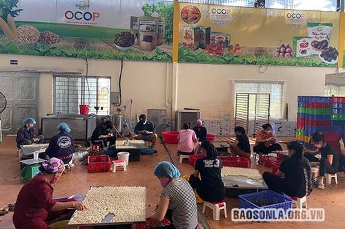 Toàn tỉnh: Tiêu thụ trên 3.000 tấn long nhãn