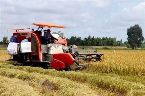 Các nền kinh tế APEC cam kết đưa ra lộ trình an ninh lương thực 10 năm