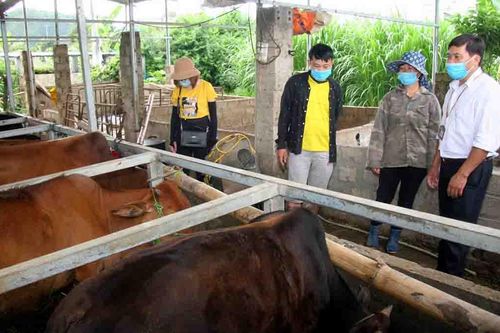 Chính trị | Lịch sử Đảng bộ tỉnh Lai Châu | Thực hiện NQ TW4 | Xã Hội TRUYỀN HÌNH INTERNET Lai Châu qua ảnh
