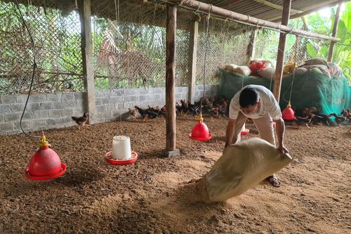 Giải 'bài toán'xử lý chất thải chăn nuôi: Bài cuối: Đi tìm lời giải