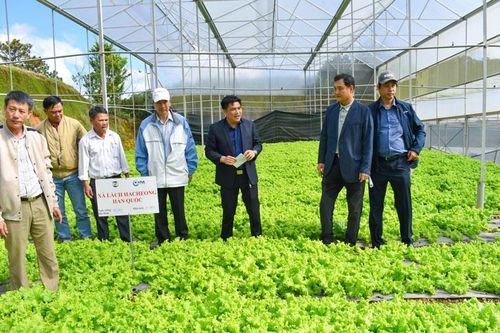 Hoạt động kinh tế tập thể - cần nâng cao hiệu quả