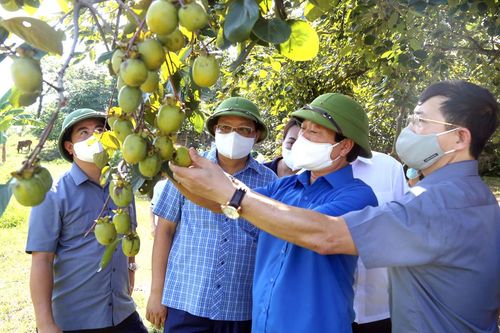Chủ tịch UBND tỉnh Bùi Văn Quang làm việc tại Phù Ninh