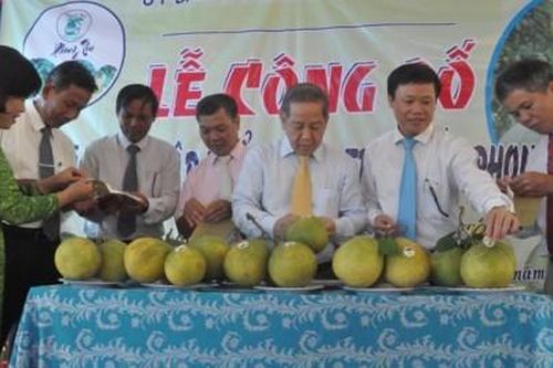Kinh tế Nông nghiệp - Nông thôn Nghiên cứu phát triển chỉ dẫn địa lý cho thanh trà Huế
