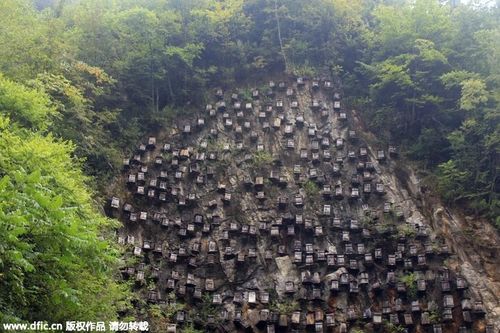 'Bức tường của tổ ong' trở thành khu bảo tồn vô cùng độc đáo, thu hút khách du lịch