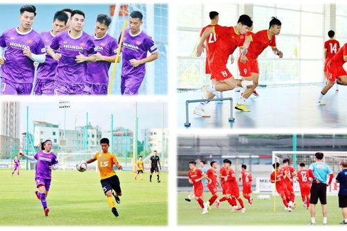 Những ngày bận rộn của bóng đá Việt Nam