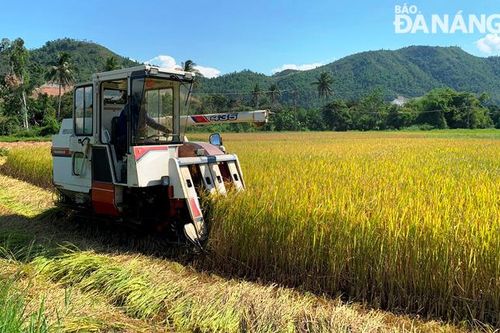 Tạo điều kiện cho nông dân chăm sóc, thu hoạch nông sản