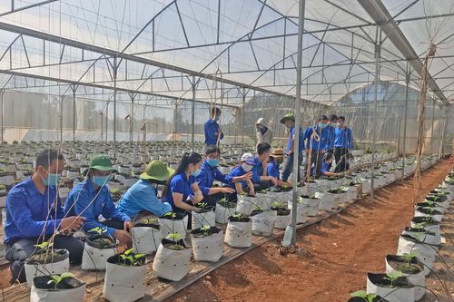 Chư Păh: Tập huấn kiến thức khởi nghiệp cho đoàn viên, thanh niên