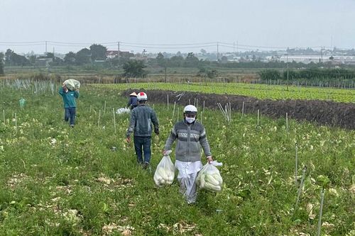Những chuyến xe đong đầy yêu thương