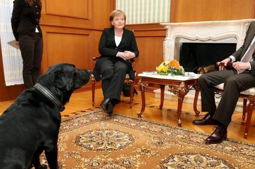 Chiến thuật của Thủ tướng Angela Merkel khi 'làm bạn' với Tổng thống Putin
