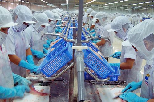 VASEP thúc các tỉnh miền Tây tiêm vaccine cho công nhân thủy sản