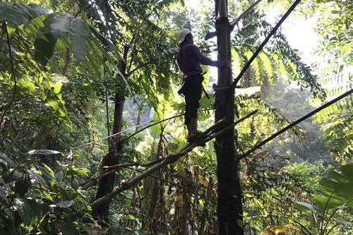 Khám phá 'rượu trời' vùng Tây Giang