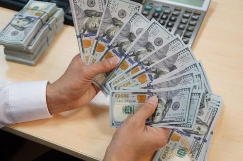 Không gửi báo cáo 3 lần/quý, các tổ chức tín dụng sẽ bị ngừng giao dịch ngoại tệ