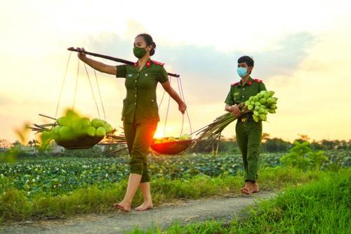 Công an 'lội ruộng' giúp bà con nông dân thu hoạch sen