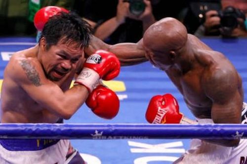 Võ sĩ người Cuba đánh bại huyền thoại Pacquiao, bảo vệ thành công đai WBA