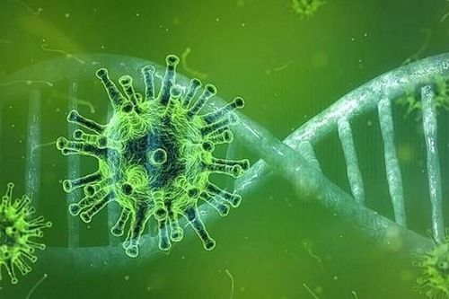 Tìm sự thật để tồn tại