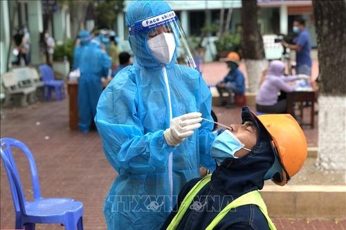 Bình Định khẩn trương ứng phó với các ổ dịch mới