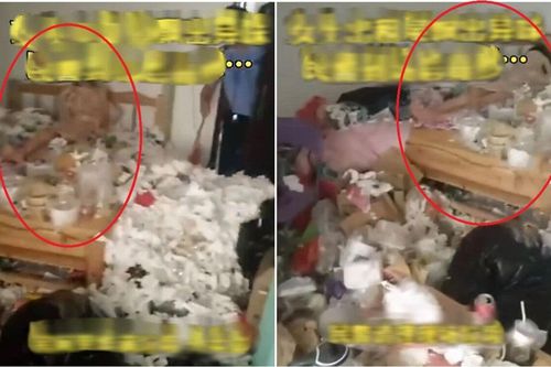 Yêu cầu nữ sinh mở cửa phòng trọ bất thành, cảnh sát phá cửa và phát hiện điều 'kinh hoàng' bên trong