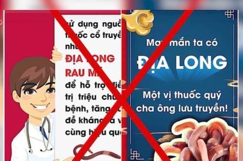 Cẩn trọng với thông tin hướng dẫn chữa COVID-19 bằng địa long