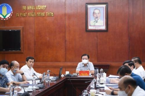 Đẩy nhanh tiến độ xây dựng đề án quy hoạch ngành nông nghiệp