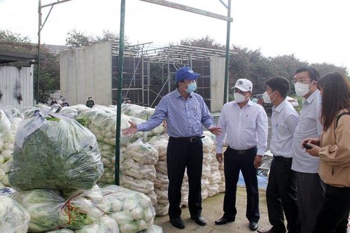 Lâm Đồng hỗ trợ TP Hồ Chí Minh 200 tấn nông sản mỗi ngày